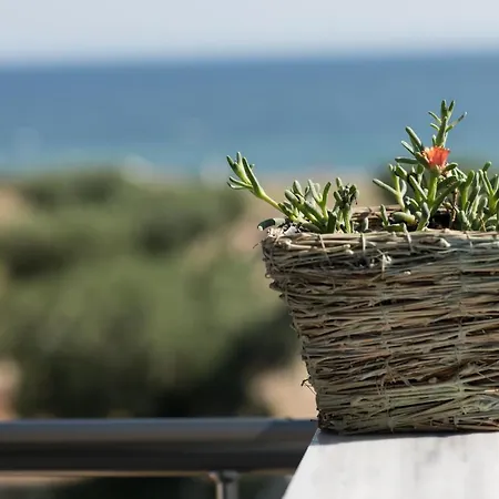 The House Of The Roses Seaview Superior Maisonette 3 Holiday home